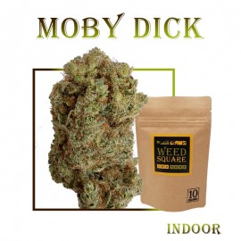 Moby Dick CBD