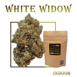 White Widow CBD