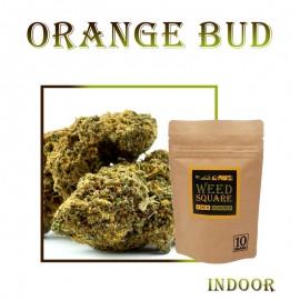 Orange Bud CBD