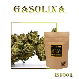 Gasolina CBD